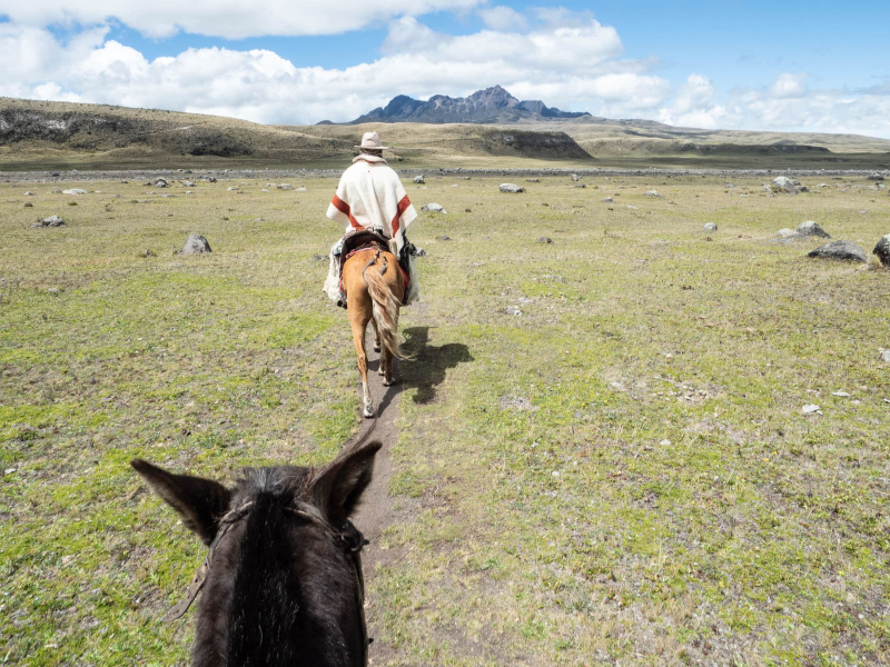 Horseback riding through the volcanic landscapes of Cotopaxi National Park