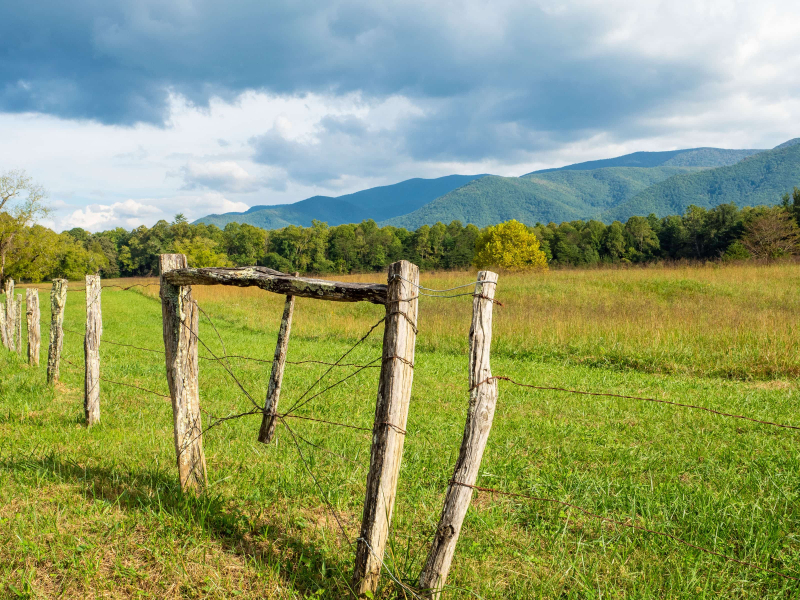 Cades Cove in Great Smoky Mountains National Park in eastern Tennessee, which we visited in 2018
