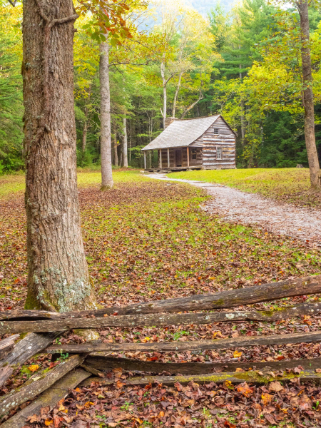 Old settler's cabin in Cades Cove; Melissa's maternal ancestors lived in such cabins in eastern Tennessee