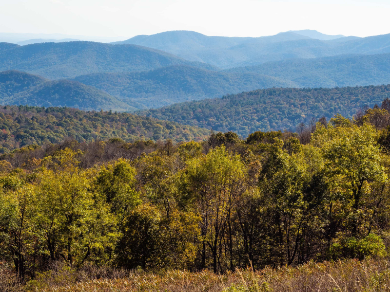 Autumn view of the mountains from the Blue Ridge Parkway near Asheville, North Carolina, one of our favorite areas for house sitting