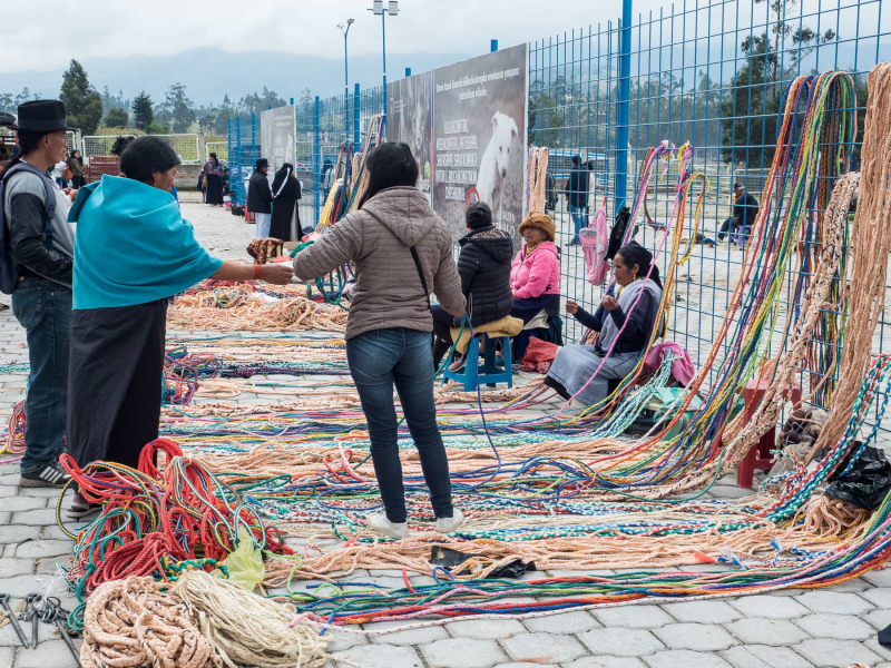 Ropes for sale so you can lead your new animals home