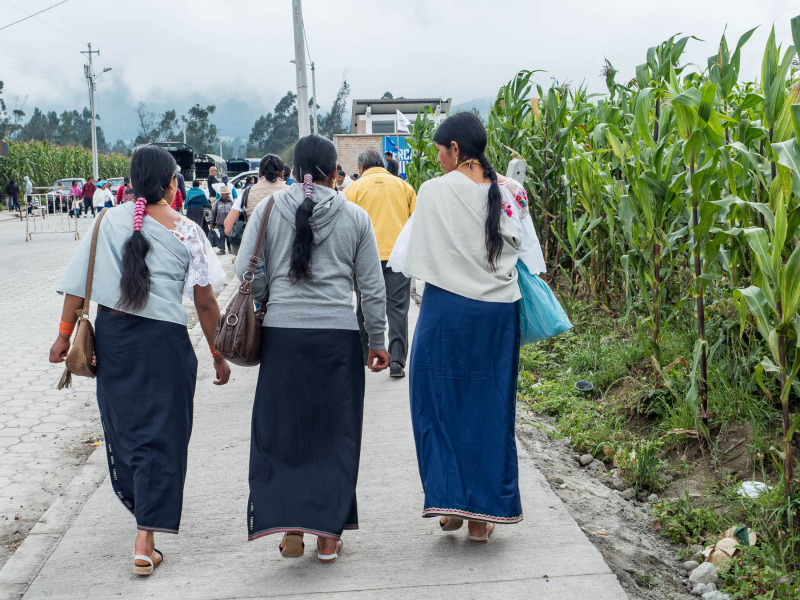 Young indigenous women, in their characteristic long wool skirts and ponytails wrapped with woven bands, head to the weekly livestock market outside Otavalo