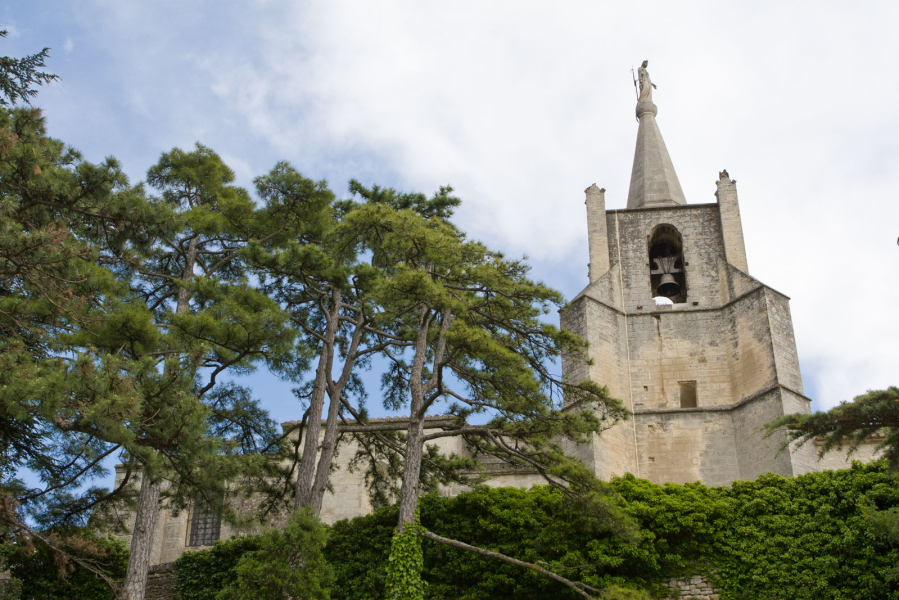 Cedar trees around the old church at the top of Bonnieux