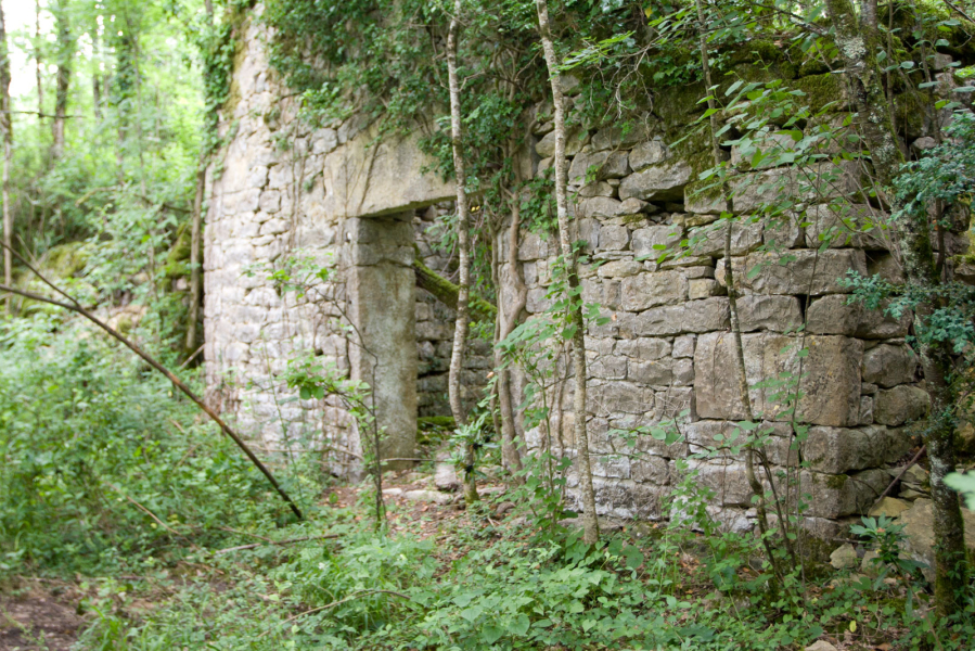 Ruins of an abandoned hamlet near the farm