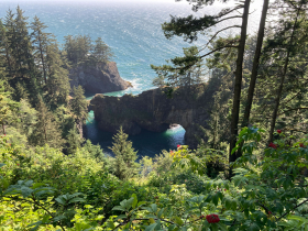 Looking down on arched rocks in the Samuel H. Boardman State Scenic Corridor
