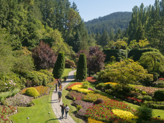 The Sunken Garden at Victoria's Butchart Gardens was planted in a former limestone quarry, starting in 1904