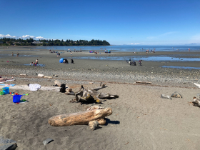 The beaches around Parksville, on the eastern coast of Vancouver Island, are known for low tides that are very low