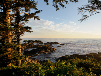 The rugged shore at Ucluelet, one of the few towns on Vancouver Island's central western coast that can be reached by road