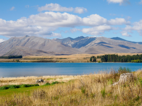 Lake Tekapo in the middle of New Zealand's South Island