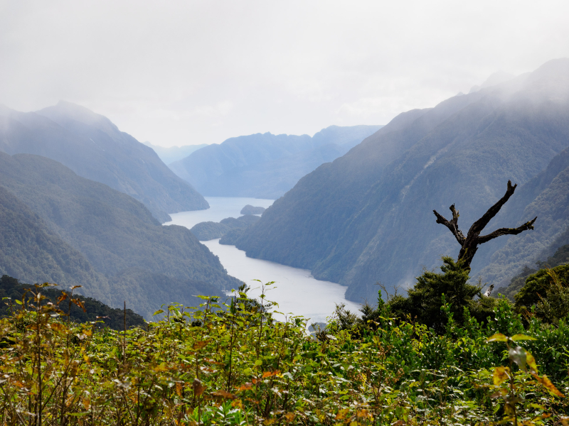 Our first view of Doubtful Sound on a rainy bus ride over the Wilmot Pass