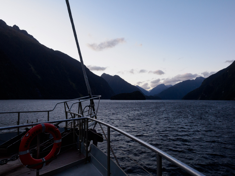 As night fell, we headed back into Doubtful Sound to spend the night in a sheltered arm of the fjord