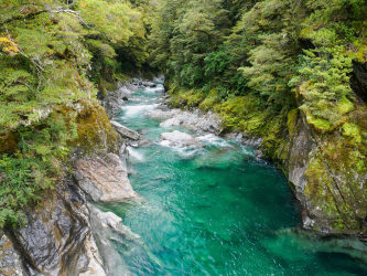 As we drove from stop to stop on the South Island, we checked out special spots along our route, such as the Blue Pools on Highway 6 near Haast Pass