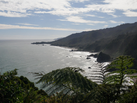A typical coastline view from the South Island's tropical-feeling west coast