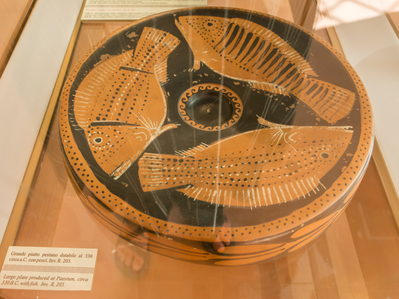 More evidence of trade among Greek cities in Italy: a fish platter made in Paestum near Naples