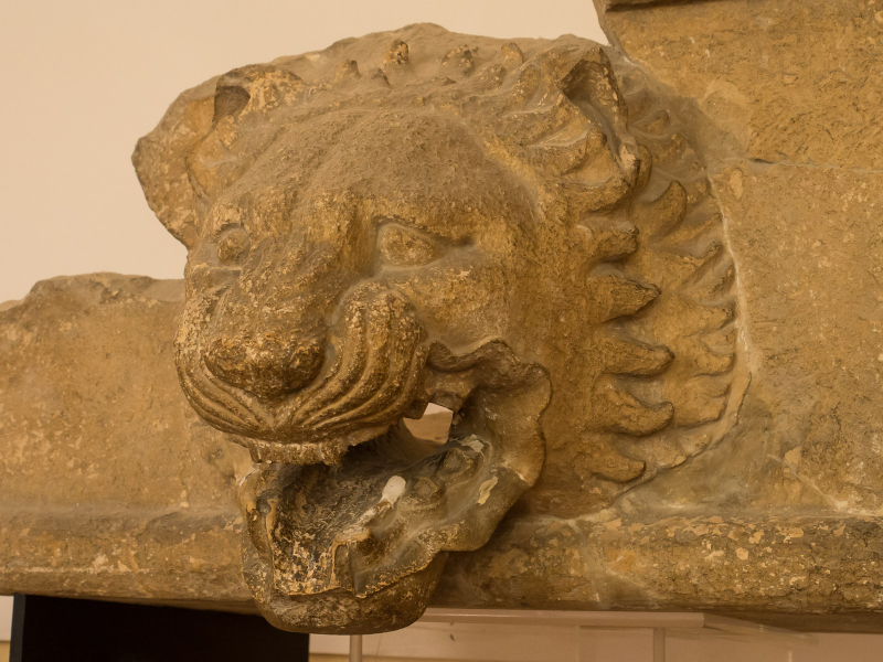 Rainwater poured out of the lion's mouth
