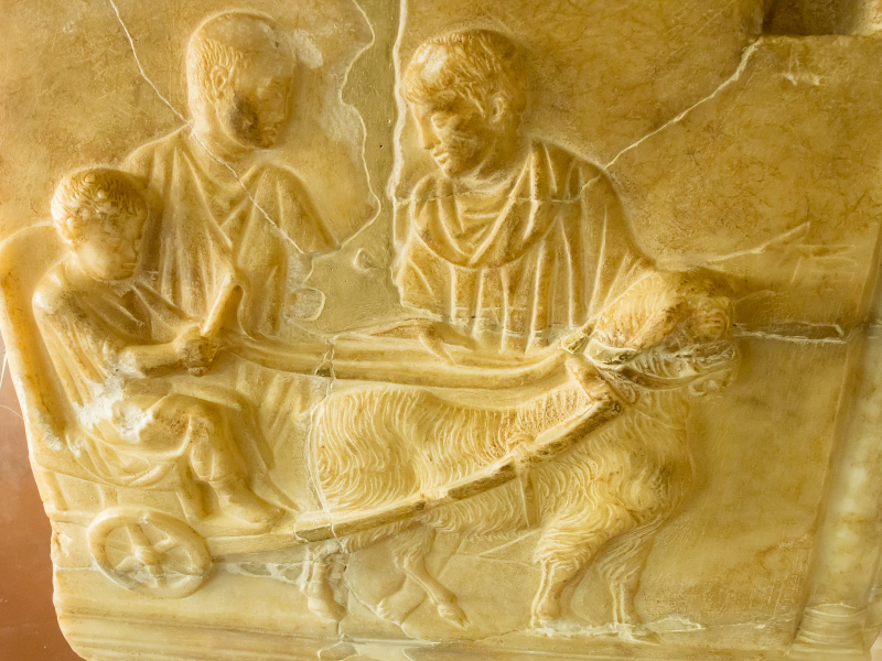 A carving on a child's sarcophagus shows the child riding in a goat cart