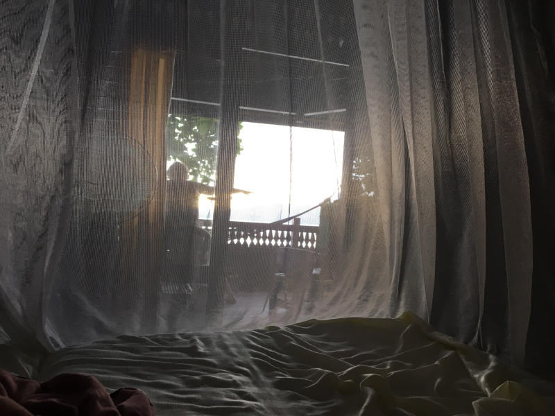 Looking through the mosquito net over the bed
