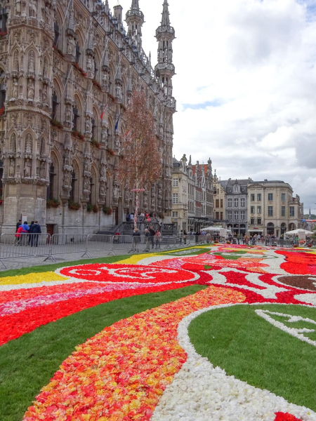 A carpet of flowers laid in the plaza between the city hall and St. Peter's church