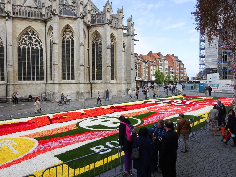 The flower carpet (part of a city festival) with St. Peter's church in the background