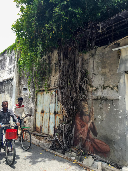 Two typical George Town features, random plants and street art, combined