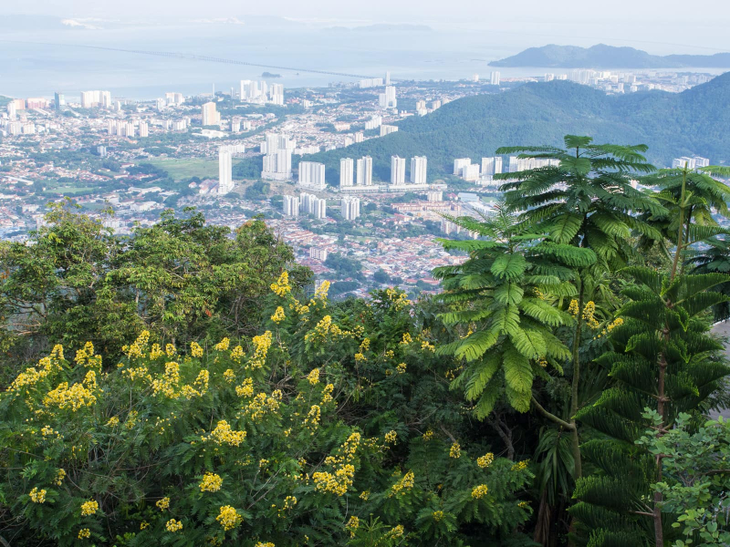 The view from the summit (the bridge in the background connects Penang to the mainland)