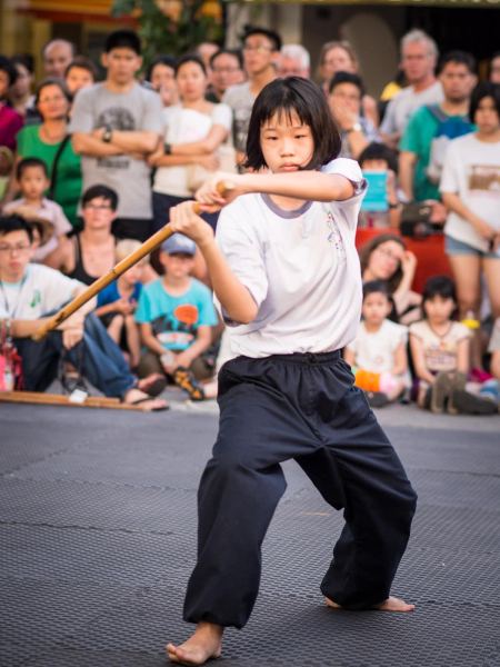 A martial arts demonstration at the heritage sports and games festival