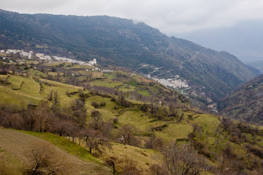 Hillsides in the Alpujarras are covered with centuries-old terraces and irrigation channels.