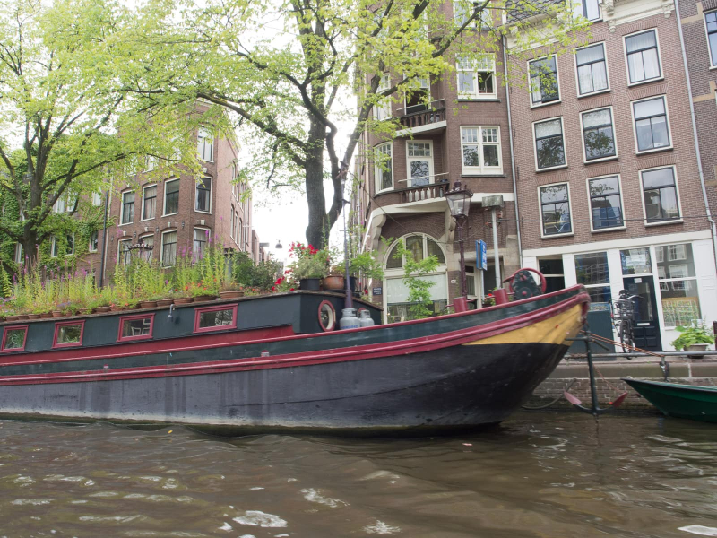 Some Amsterdam residents live in houseboats rather than apartments (and grow their gardens on the roof)
