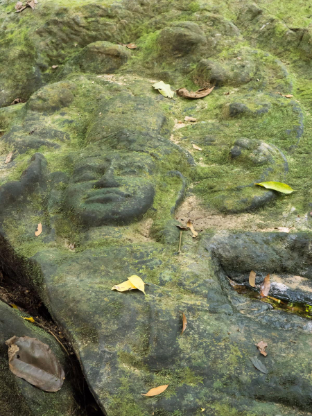 A mossier carving of Vishnu