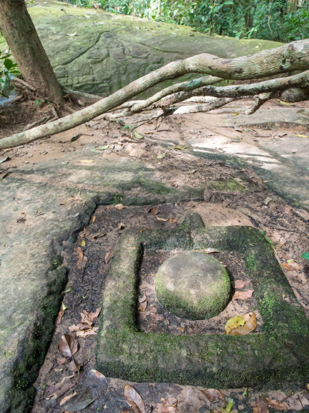 The carving, and the linga and yoni that point to it, had been covered in vegetation