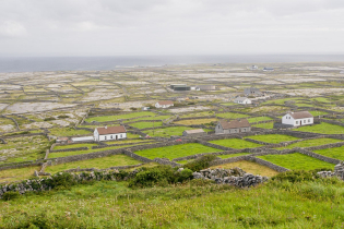 We spent three nights on the little island of Inishmaan, the least visited of the three Aran Islands located in Galway Bay. The harshly beautiful landscape includes limestone terraces with a thin layer of soil, mazes of stone walls, and cliffs pounded by the sea.