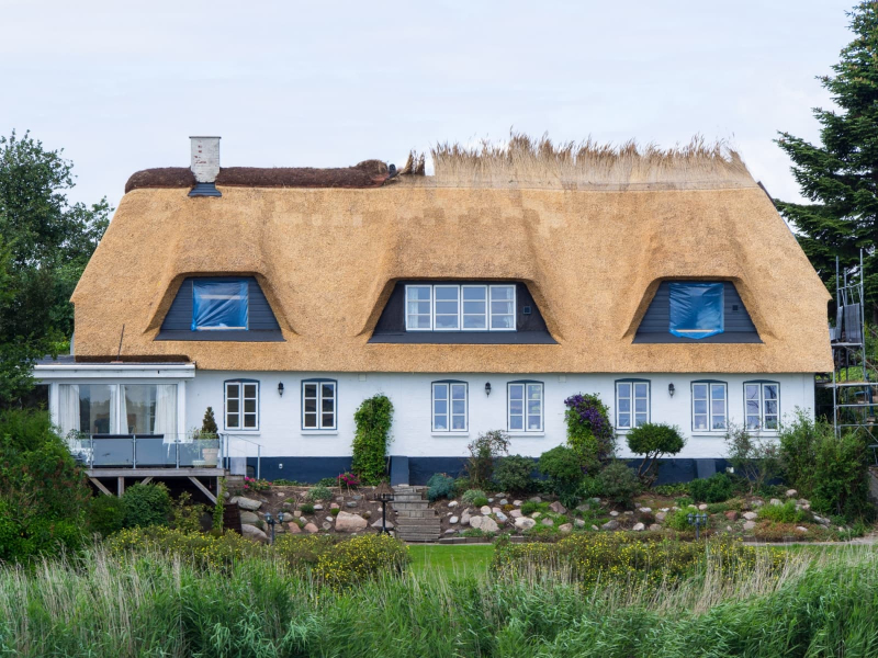 A house getting a new thatched roof; the skill of thatching with rushes is alive and well in Jutland. If cared for properly, these roofs last for decades.