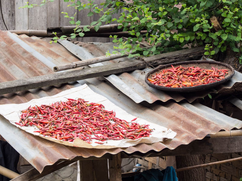 Chilis drying on a roof