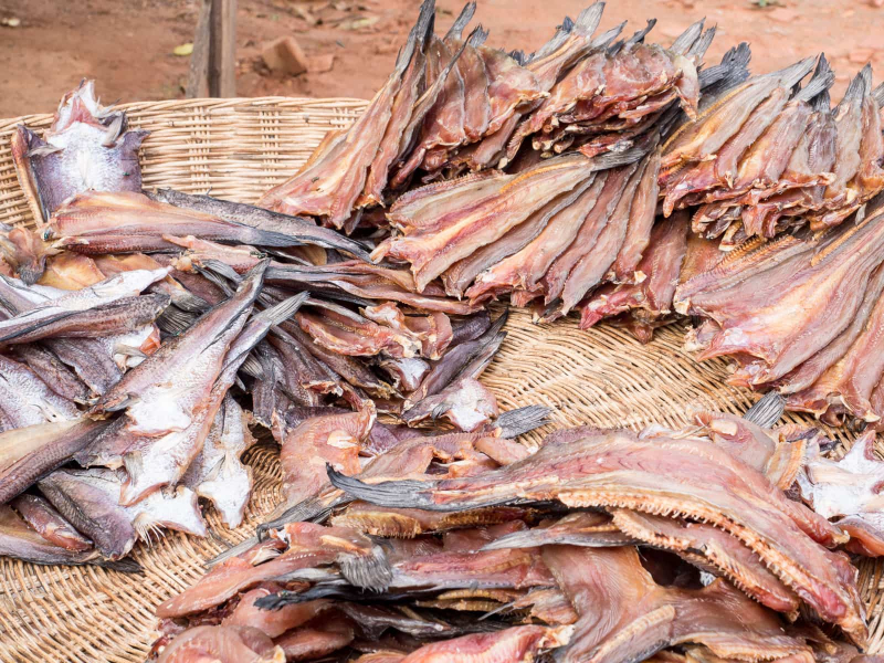 Fish drying at a roadside market near Tonle Sap lake