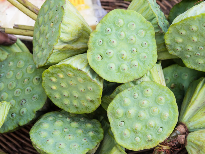 The pods from lotus flowers are sold as a snack; people crack them open and eat the seeds (which taste kind of like soy beans)