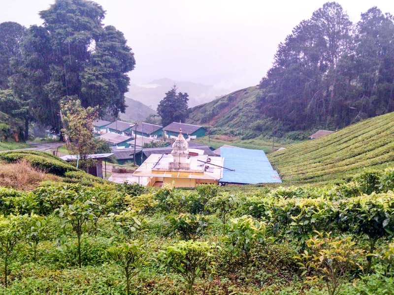 A small mosque and living quarters (the green houses) for tea plantation workers