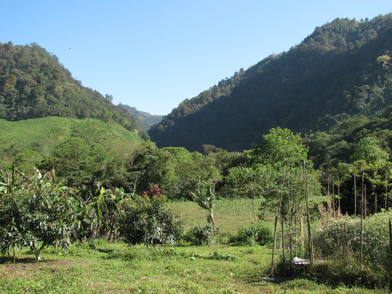 Finca Rubel Chaim, a farm about 20km from Coban, owned by a North American couple, that takes paying guests 