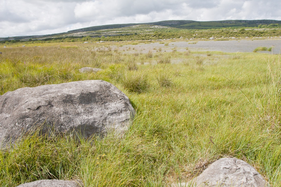 A seasonal lake in the Burren that only forms in wet periods. (The rest of the time, the water sinks into the limestone.)