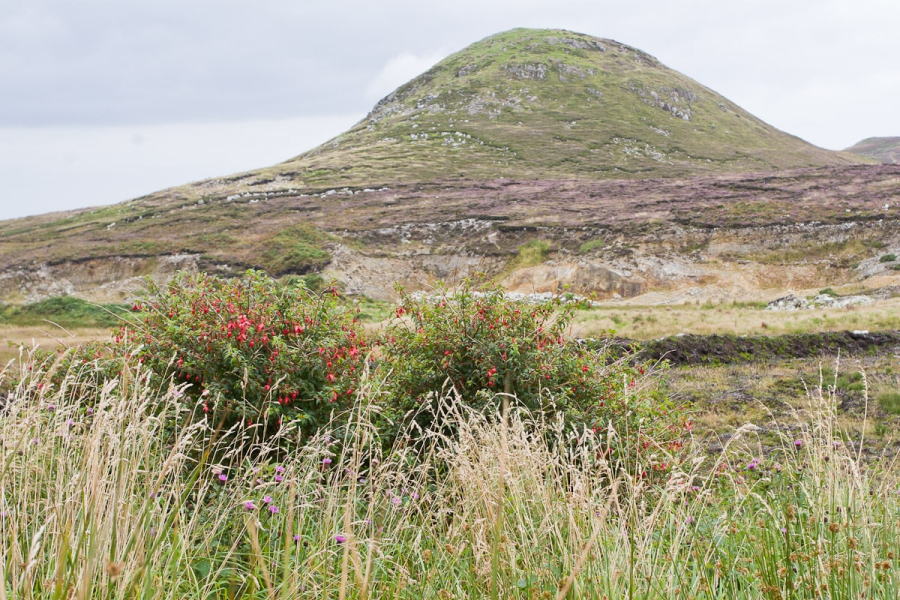 This perfect knob is called Fairy Hill (it sounds better in Gaelic)