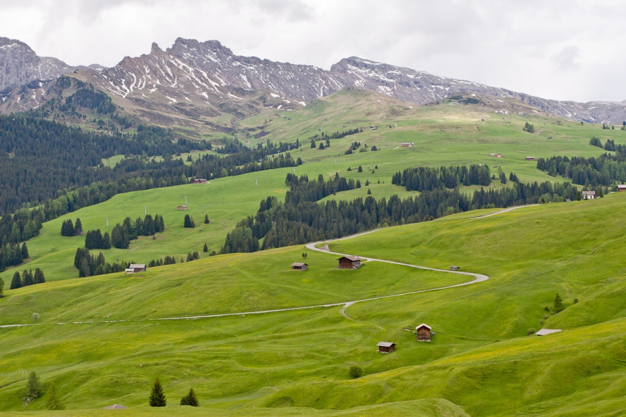 Above Santa Cristina lies a huge (50 sq. km.) meadow, the Alpe di Siusi