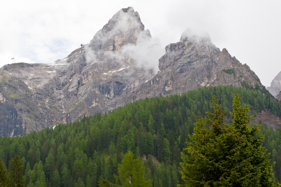 The essence of the Dolomites: tall spruce trees and gray craggy peaks