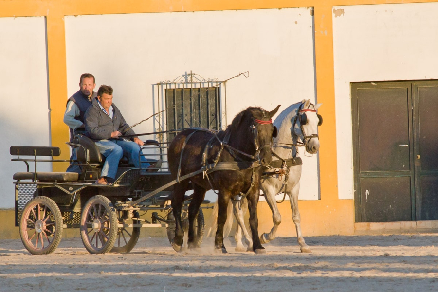 The town keeps its streets unpaved for the sake of horses