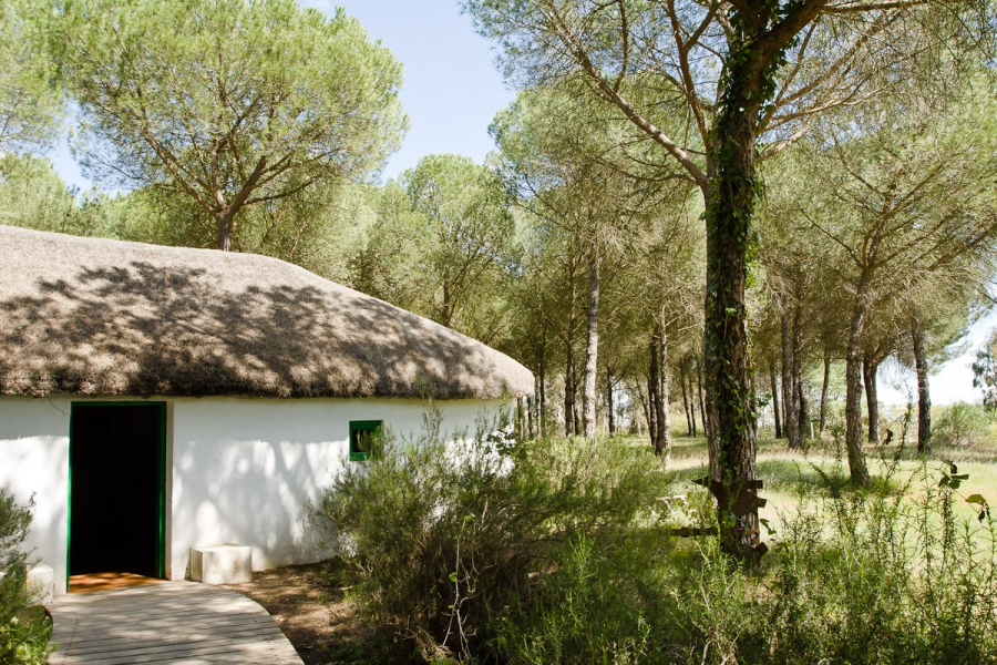 What houses in El Rocio used to look like (thatched with marsh reeds)
