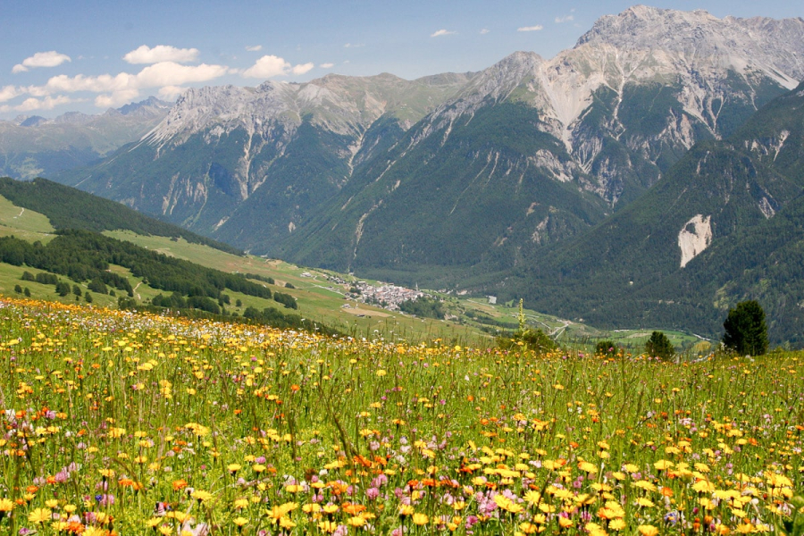 High meadows above Scuol