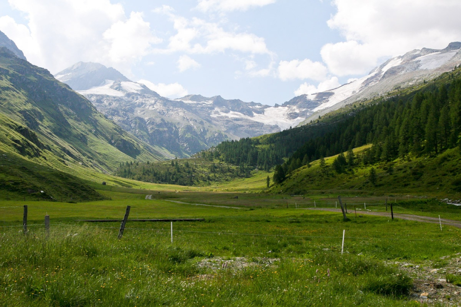 The broad little Fex Valley sits on a plateau near the northern end of the Silsersee