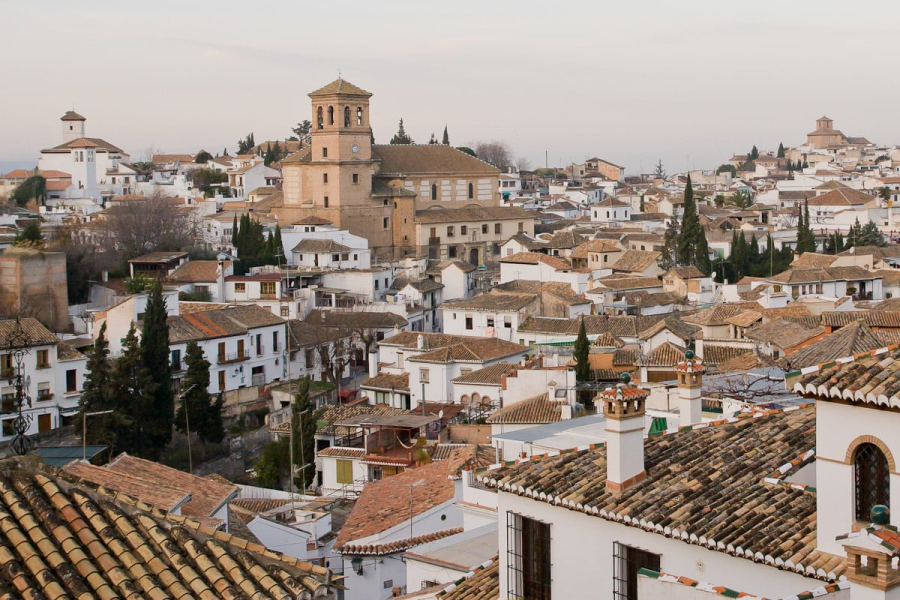 The Albaicin, a very old, formerly Arab neighborhood of Granada where our apartment and Spanish school (Escuela Carmen de las Cuevas) are located. This was taken from the patio of the school.