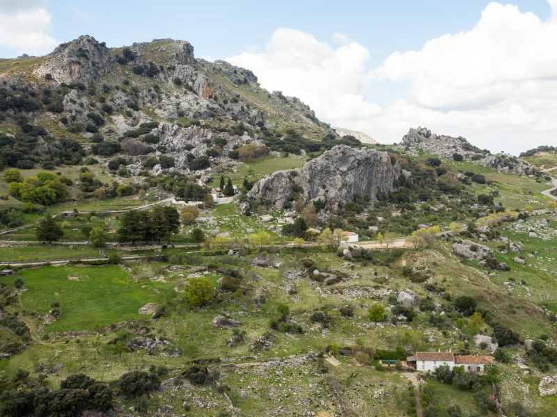 The rocky land on the outskirts of Grazalema is good for grazing