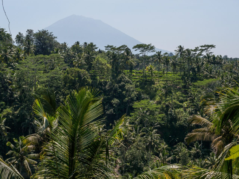 Back at the top of the ravine, we got our first view of Bali's tallest and holiest mountain, a volcano almost 10,000 feet high called Mount Agung. Shrines around Bali are aligned toward the mountain.