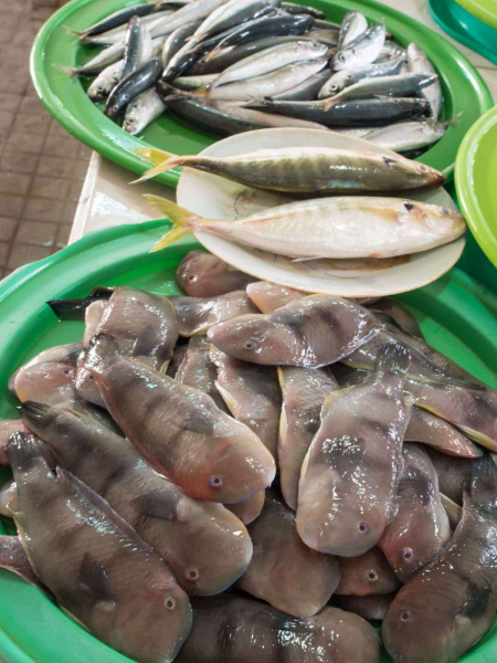 Hoi An is near the coast, so seafood is plentiful too