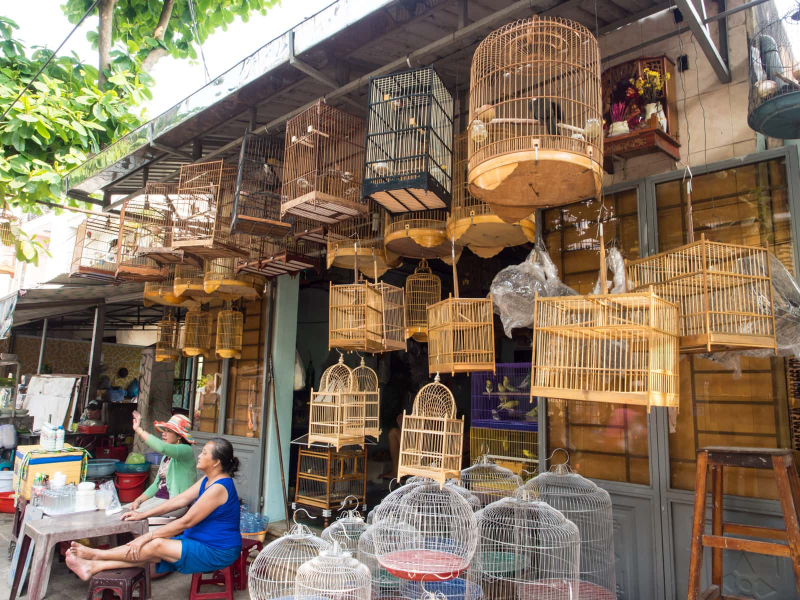 Bird cages for sale in the market